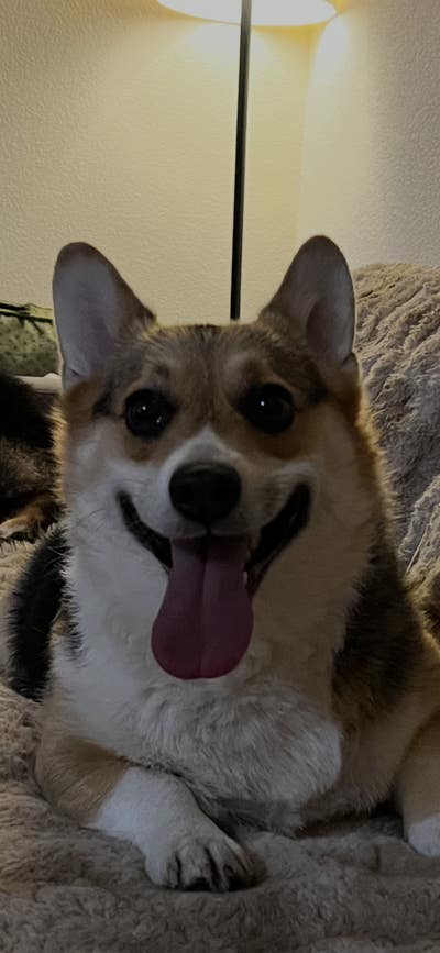 I am looking for a room in Santa Monica Main Photo