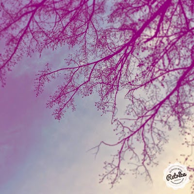 Room wanted in University City, PA Main Photo