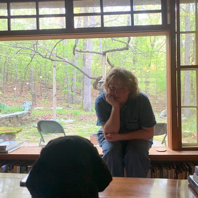 Room wanted in NYC Main Photo