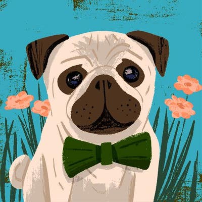 Room wanted in NYC Main Photo