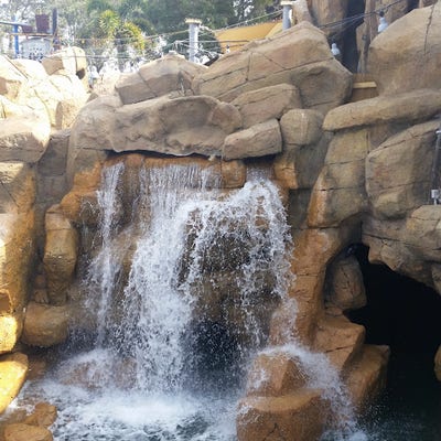 Room wanted in Las Vegas Main Photo