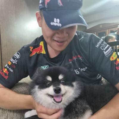 Room wanted in Napa County, CA Main Photo