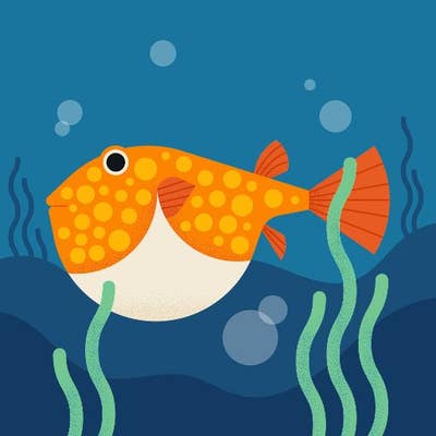 Responsible man looking for a room in Ventura Main Photo