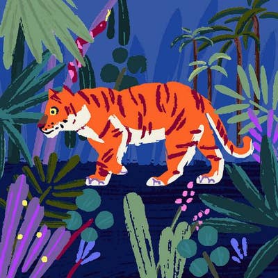 Room wanted in New York Main Photo