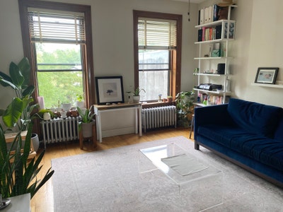   Furnished Room in bright Clinton Hill Brownstone Main Photo
