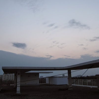 Room wanted in NYC Main Photo