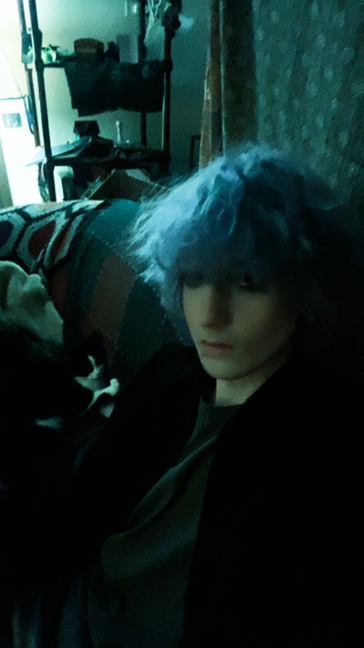 Room wanted in Westmont, DuPage County, IL Main Photo