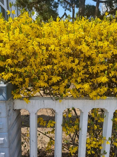 Room wanted in New York Main Photo