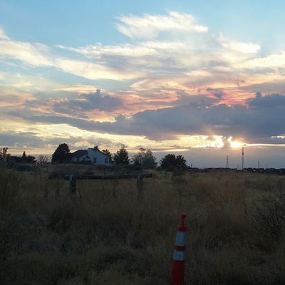 Room wanted in Seattle Main Photo