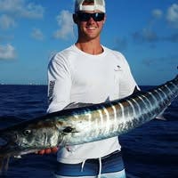 Room wanted in Orlando Main Photo