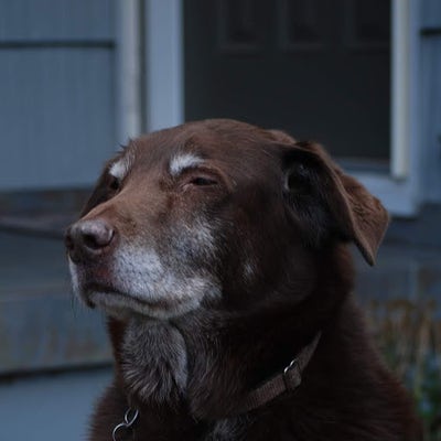 Responsible woman looking for Los Angeles room Main Photo