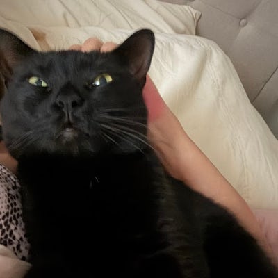 Room wanted in New Jersey Main Photo