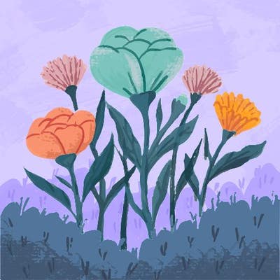 Room wanted in Washington Heights, Manhattan, NY Main Photo