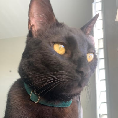 Student looking for a room in Santa Clarita Main Photo