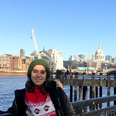 Room wanted in Brooklyn, NY Main Photo