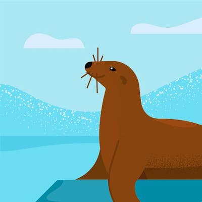 Room wanted in NYC Main Photo