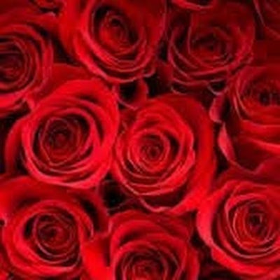 Room wanted in Denton, TX Main Photo