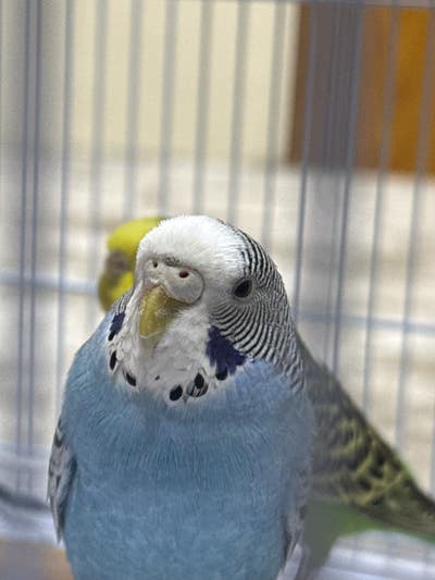 Mother and son looking for safe room in LA Main Photo