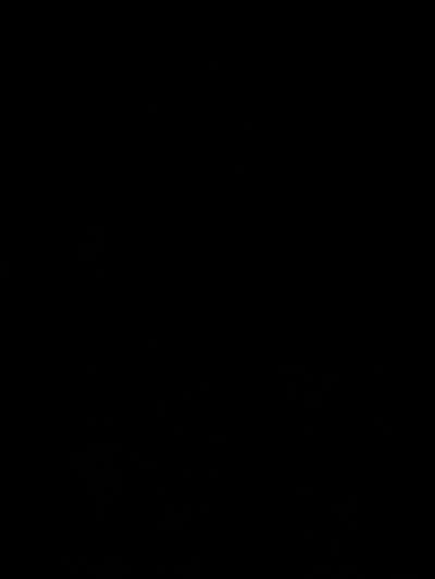 Room wanted in New York Main Photo