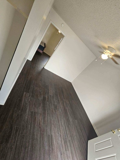 Davis Rentals Main Photo