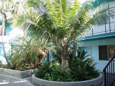 Extra Large nice one Bedroom Main Photo