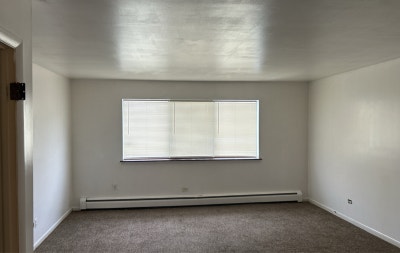 Alsip Large 1 Bedroom Apartment  Main Photo