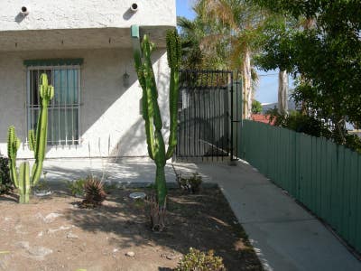 Large 1br 1ba in Normal Heights  Main Photo