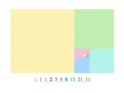 Room wanted in NYC Main Photo