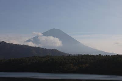 Student looking for a room in Long Beach Main Photo