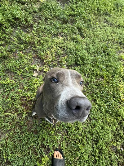 Room wanted in Miami Main Photo