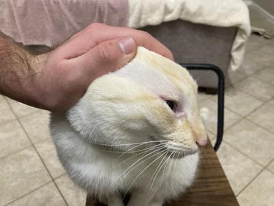 Roommate Wanted Main Photo