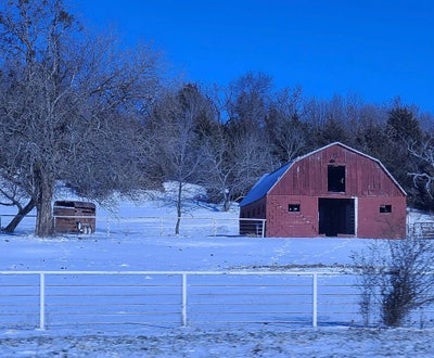 Room wanted in Arlington, TX Main Photo