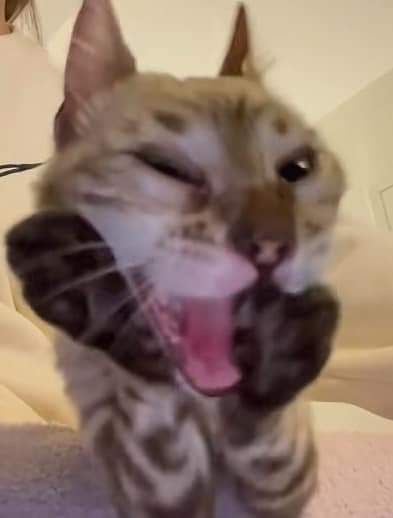 Room wanted in New Jersey Main Photo