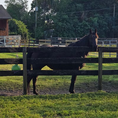 Room wanted in Fort Lauderdale, FL Main Photo