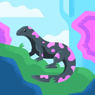 Room wanted in Denton, TX Main Photo