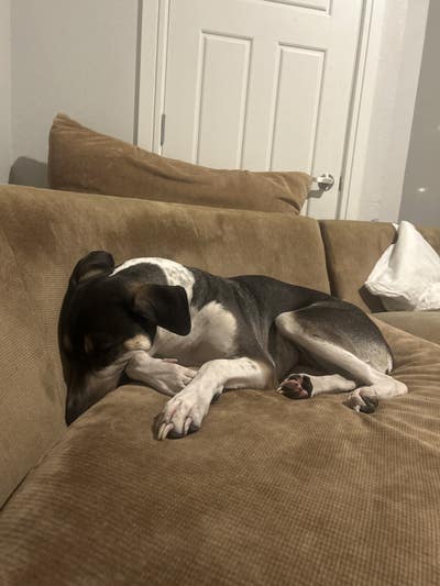 Room wanted in New York Main Photo