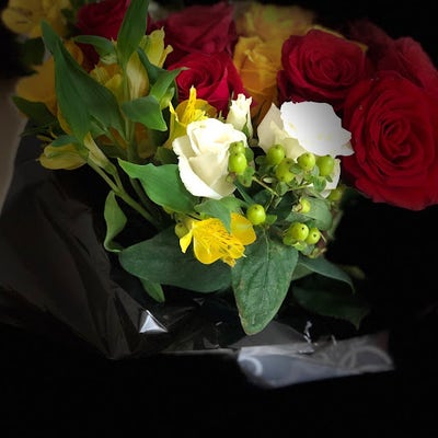 Room wanted in Orlando Main Photo