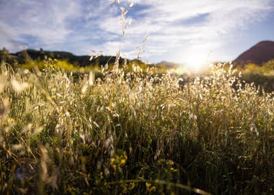 Room for rent Main Photo