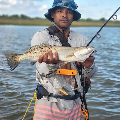 Room wanted in Missouri City, TX Main Photo