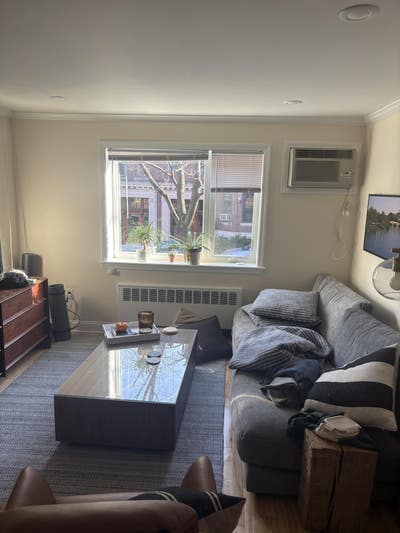 Roommate Wanted June 1St Lease Coolidge Corner Main Photo