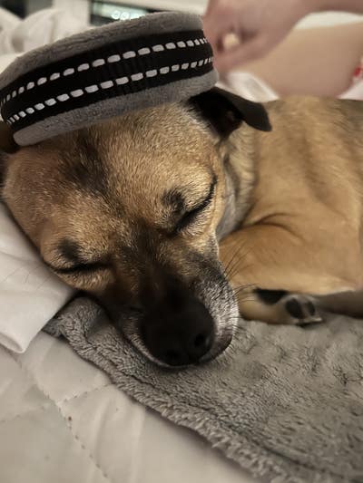 Room wanted in Revere, MA Main Photo