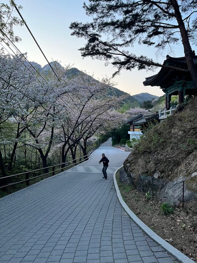 Reliable 40 year old male needs Newport room Main Photo