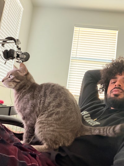 Room wanted in Diamond Bar, Los Angeles, CA Main Photo