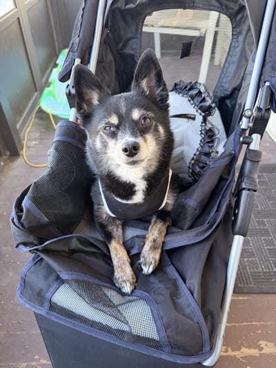 Room wanted in Lynn, MA Main Photo