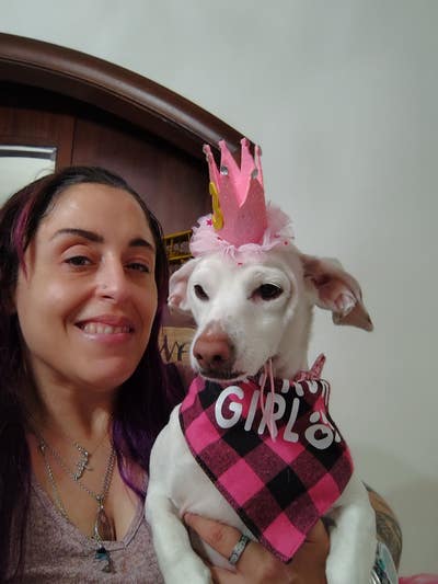 Female student looking for a room in LA now Main Photo