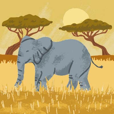 Room wanted in 85260 Main Photo