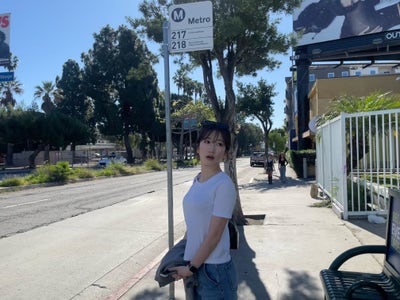 Room wanted in NYC Main Photo