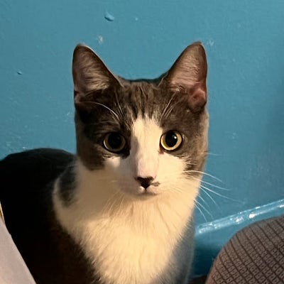 Room wanted in Yonkers, NY Main Photo