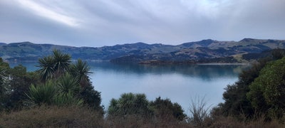 Room wanted in Princeton  Main Photo