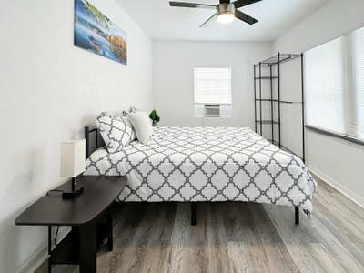  Trendy Seminole Heights district !!! This one boo Main Photo